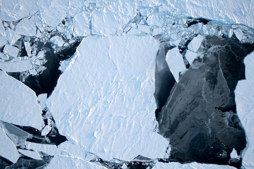 Northwest Greenland's Sea Ice