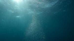 photo of bubbles underwater